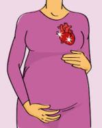 pregnant lady heart
