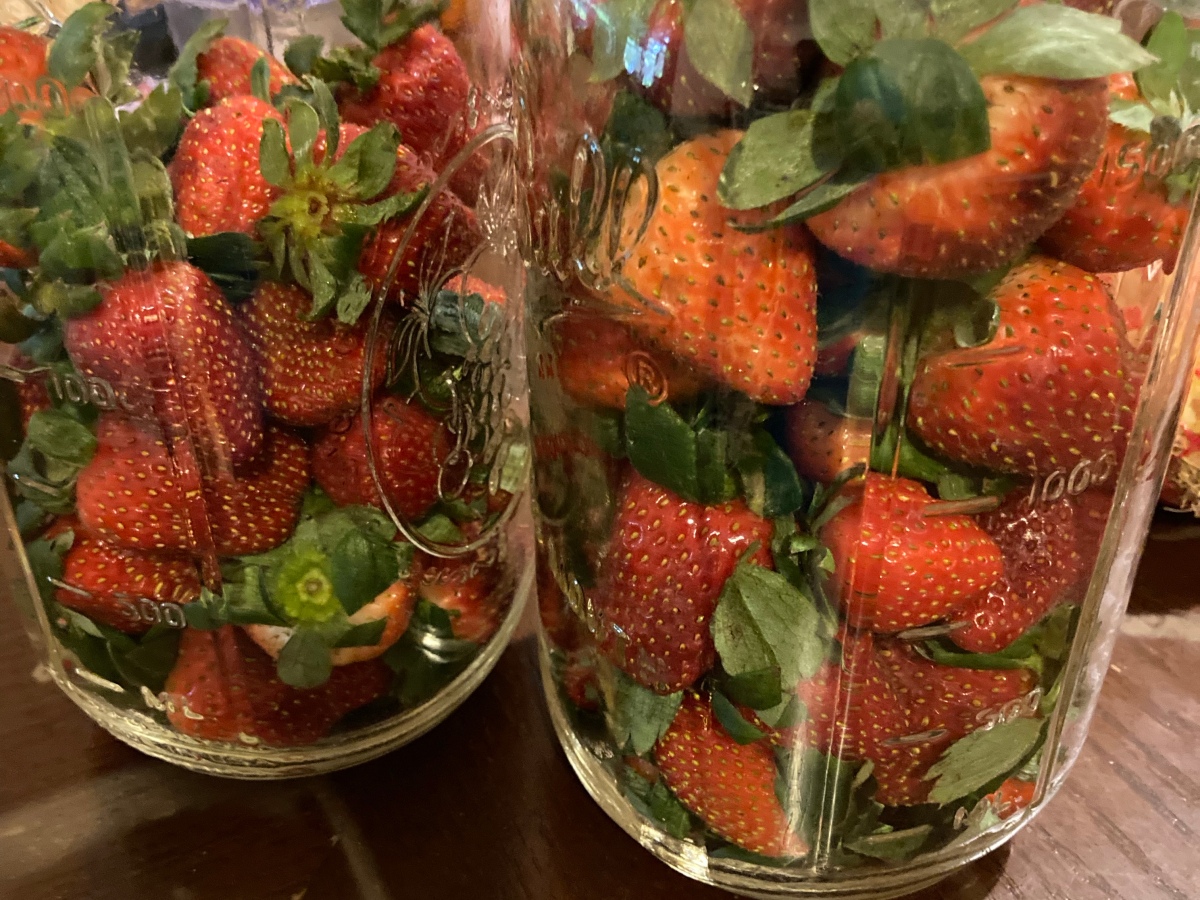 UPDATE: Mason Jar Fruit Experiment